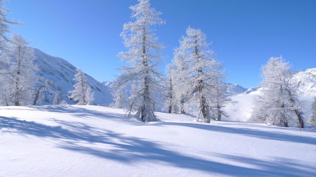 Berggasthaus Wasenalp بريغ المظهر الخارجي الصورة